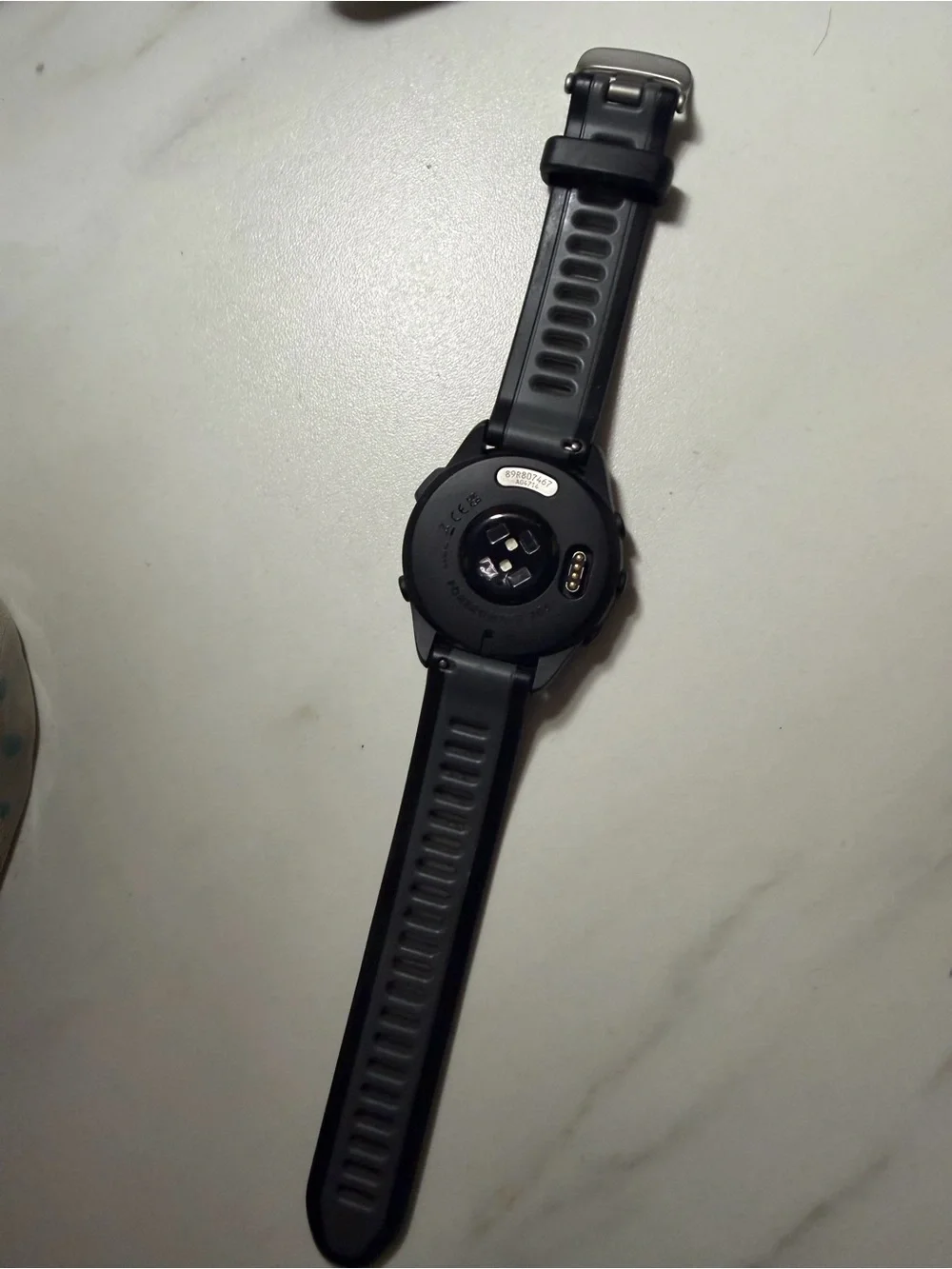 Garmin 165